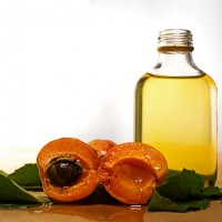  Apricot Oil
