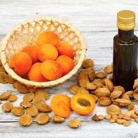  Apricot Oil