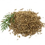 Black Cumin