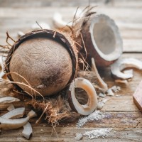 Dried Coconut