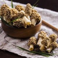 Morels