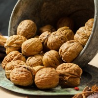 Walnuts (In Shell)